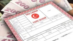 milli emlak arsa satislarini duyurdu 13 bin liraya tapu sahibi olunacak mO5dHni4.jpg